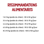 Croquettes pour Chiens Ownat Prime Grain Free Mini avec Poulet et Dinde