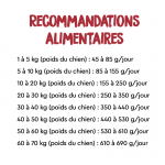 Croquettes pour Chiens Ownat Just Grain Free Adult avec Saumon