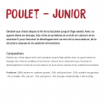 Croquettes pour Chiens Ownat Classic Junior avec Poulet