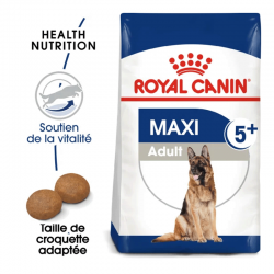 Royal Canin Maxi Adult 5+ croquettes pour chiens seniors de taille grande