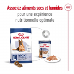Royal Canin Maxi Ageing 8+ nourriture pour chien en âge avancé de grande race