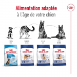 Royal Canin Maxi Ageing 8+ nourriture pour chien en âge avancé de grande race