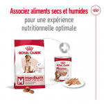 Royal Canin Medium Adult 7+ nourriture pour chien Senior de taille moyenne