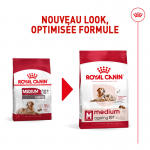 Royal Canin Medium Ageing 10+ croquettes pour chiens âgés de races moyennes
