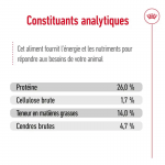 Royal Canin Medium Ageing 10+ croquettes pour chiens âgés de races moyennes