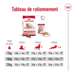 Royal Canin Medium Ageing 10+ croquettes pour chiens âgés de races moyennes