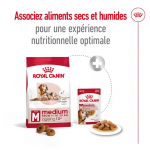 Royal Canin Medium Ageing 10+ croquettes pour chiens âgés de races moyennes