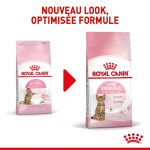 Royal Canin Kitten Sterilisé nourriture pour chatons stérilisés