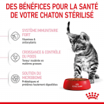 Royal Canin Kitten Sterilisé nourriture pour chatons stérilisés