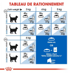 Royal Canin Home Life Indoor 7+ nourriture pour chats âgés