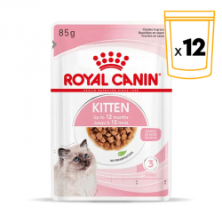 Royal Canin Kitten nourriture humide en sauce pour chatons