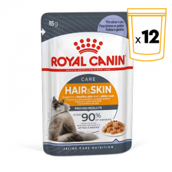 Royal Canin Intense Beauty alimentation humide en gelée pour chats adultes