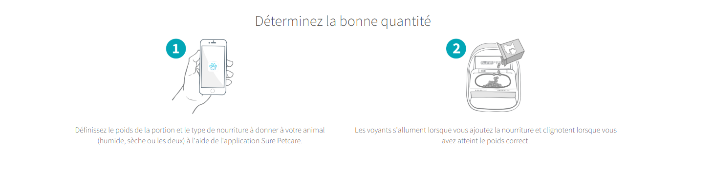 Captura de pantalla 2024-12-10 120127.pn