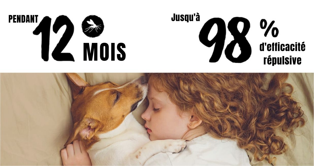 Scalibor protège ainsi votre chien contre le phlébotome