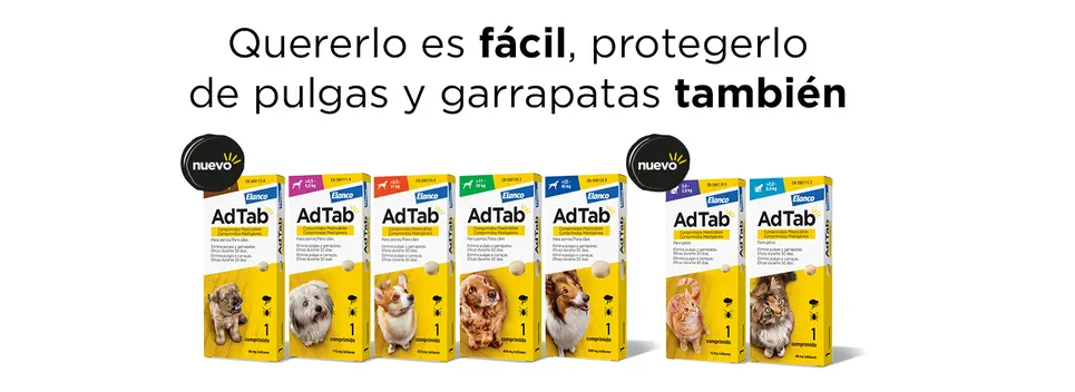 Adtab Perros Adtab Gatos Comprimidos Antiparasitarios