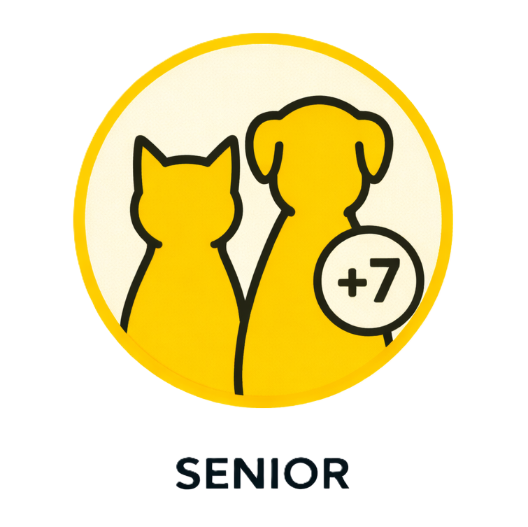 Piensos dermatol&oacute;gicos para perros - alimentaci&oacute;n especial para problemas de piel y pelaje