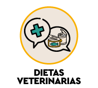 Comida h&uacute;meda especial para gatos: adaptada a cada necesidad concreta