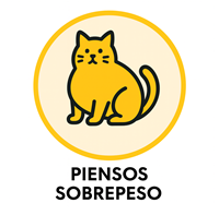 Piensos Veterinarios para gatos - alimentación especial para gatos con sobrepeso u obesidad
