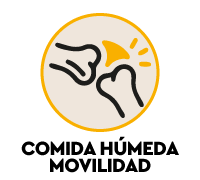 Comida h&uacute;meda articular para gatos - alimentaci&oacute;n especial para problemas de movilidad