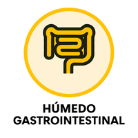 Comida húmeda gastrointestina para perros - nutrición especial para problemas digestivos