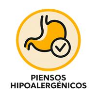 Piensos hipoalergénicos para gatos - alimentación especial para gatos con alergias