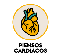 Piensos card&iacute;acos para gatos - nutrici&oacute;n especial para problemas vasculares y de coraz&oacute;n