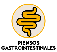 Piensos gastrointestinales para gatos - nutrici&oacute;n especial para problemas digestivos