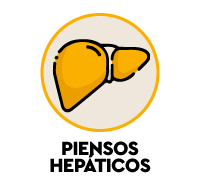 Piensos hep&aacute;ticos para gatos - alimentaci&oacute;n especial para problemas de h&iacute;gado