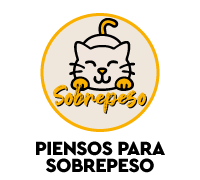 Piensos Veterinarios para gatos - alimentaci&oacute;n especial para gatos con sobrepeso u obesidad