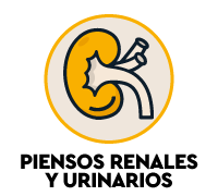 Piensos renales y urinarios para gatos - nutricion completa para problemas de ri&ntilde;on