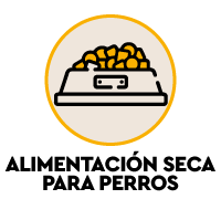 Comida seca para tu perro