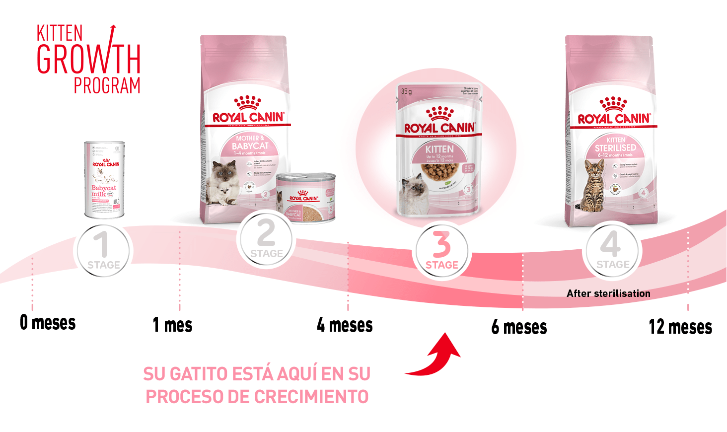 RoyalCanin_Zooplus_SecondAgeKitten_Insti