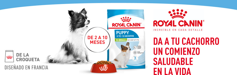 Imagen de alimento para perros