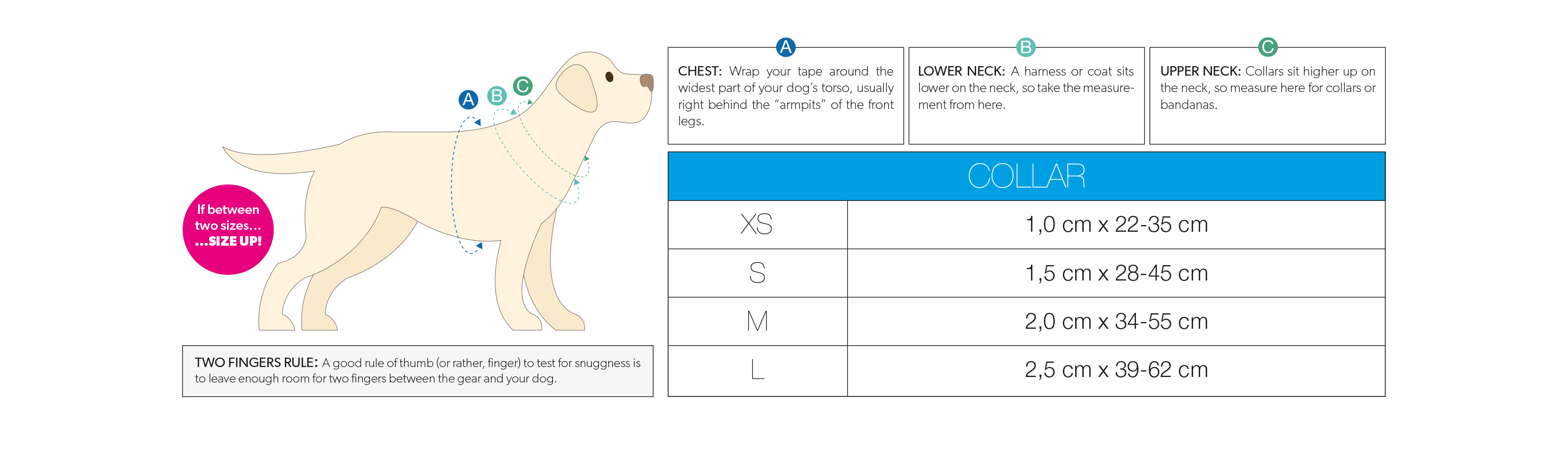 Max & Molly - SIZE CHART 1 - COLLAR (eng