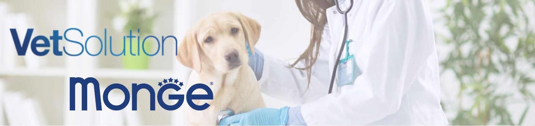 MONGE_VETSOLUTION.jpg