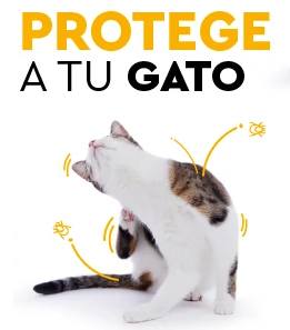 Los mejores antiparasitarios para gatos en Guaw