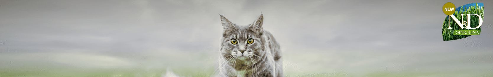 gatos_espirulina_farmina.png