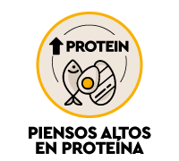 Piensos altos en prote&iacute;na para perros