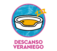 Salud e higiene para perros