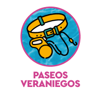 Accesorios para perros