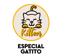Pienso para Gatitos