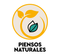 Piensos naturales para perros