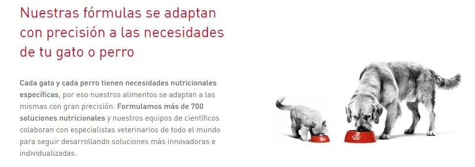 Beneficios de Royal Canin