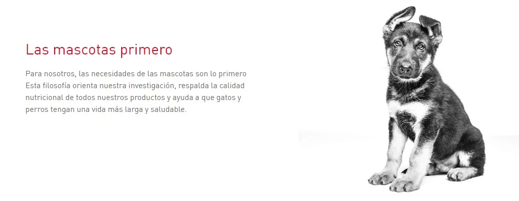 Valores de Royal Canin