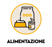 Alimentazione