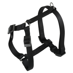 Arnes Nylon Negro Champion Ferplast