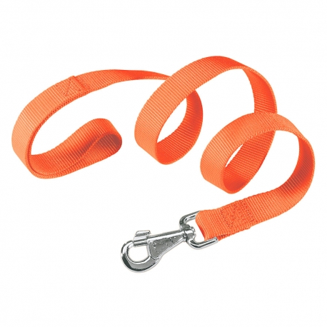 Correa Nylon Club G Naranja para perros Ferplast