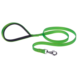 Correa Nylon Daytona G Green para perros Ferplast