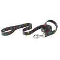 Correa Nylon Club G Circus para perros Ferplast