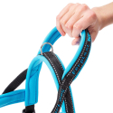 Arnes Sport Dog Blue P Ferplast